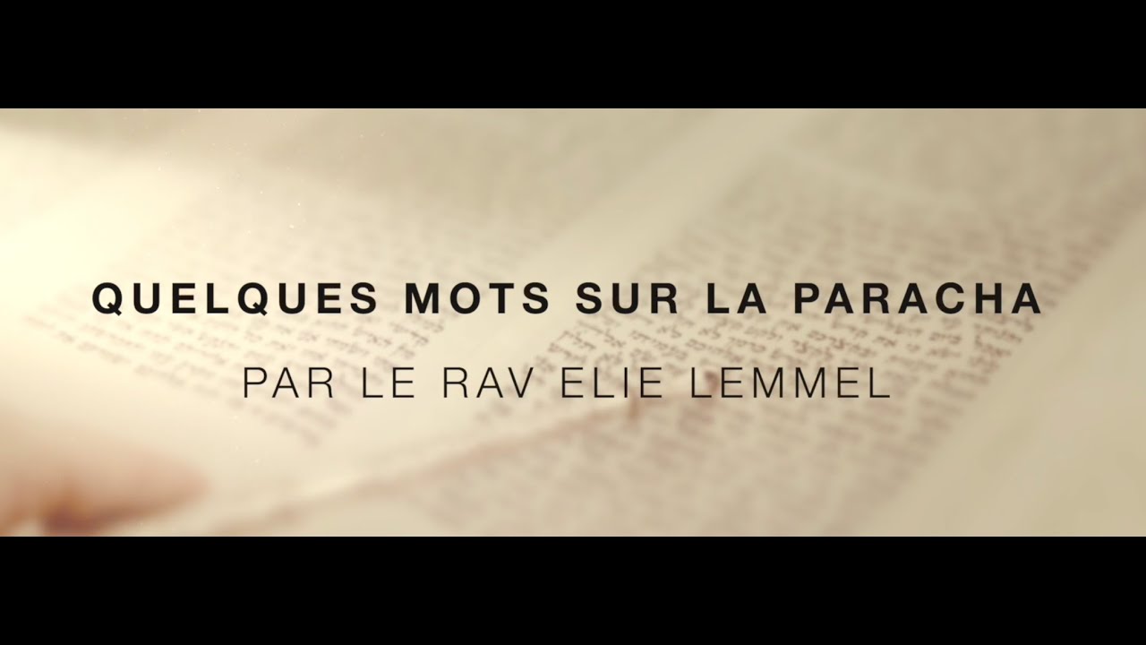 Des alliances qui façonnent l'avenir ! Rav Élie Lemmel - Parasha Lekh Lekha