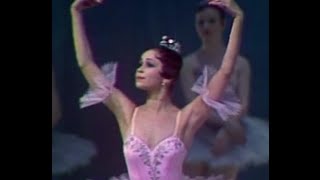 A Favourite Ballerina - A Solo from 'Don Quixote’