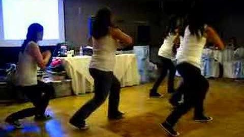 Delta Lambda Chi-Spring Installs 2008