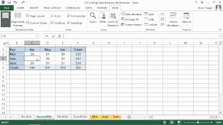 Microsoft Office Excel 2013 Tutorial: Linking Data Between Worksheets | K Alliance screenshot 5