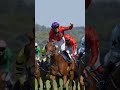 12 Jockeys, 6 Races, 4 Teams, 1 Winner: The Shergar Cup #競馬