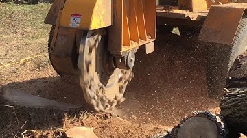 Stump Grinding Video