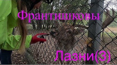 3.Франтишковы Лазни.Башня Бисмарка.Встреча с оленями. 👍👍👍🌞#video #travel #отпускпродолжается 