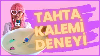 TAHTA KALEMİ DENEYİ - Suda Yüzen Şekiller