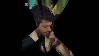 Los Aficionados Están Conmocionados Se Han Formulado Acusaciones Contra Can Yaman Y Özge Gürel.