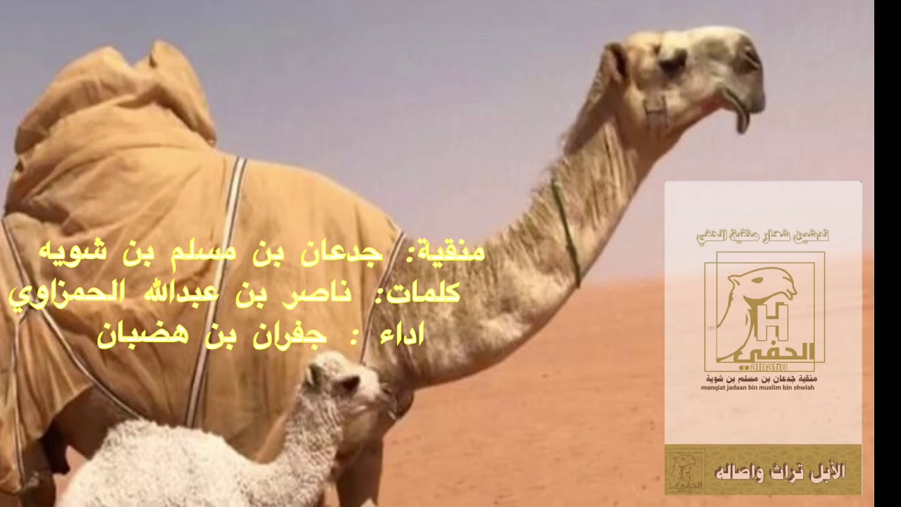 حصري منقية: جدعان بن مسلم بن شويه  كلمات: ناصر بن عبدالله الحمزاوي أداء :جفران بن هضبان2021 الجفراني