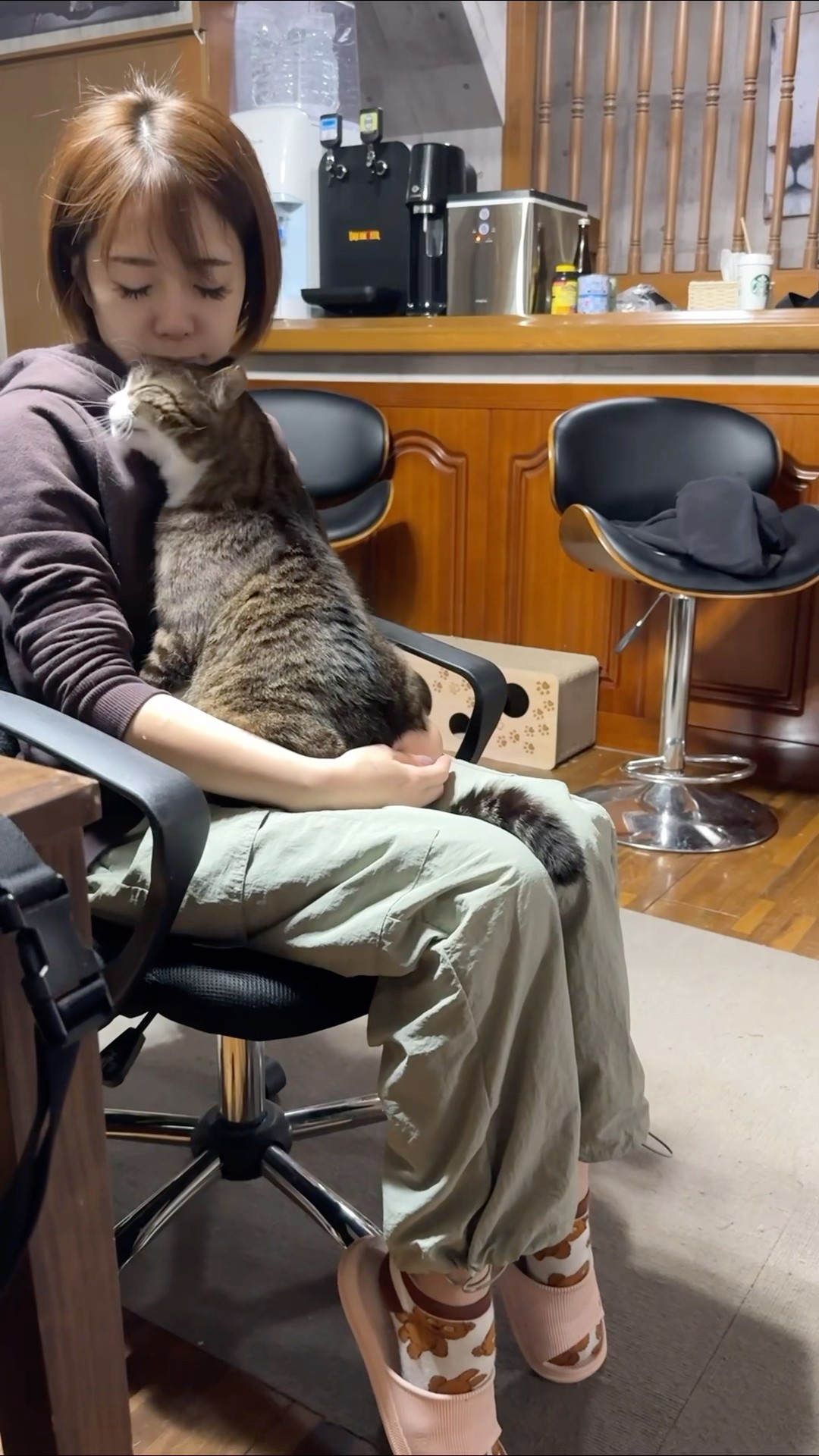 ママのおいでの合図が嬉しくてたまらない猫 #shorts - YouTube