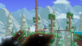 One hp Terraria hardcore...