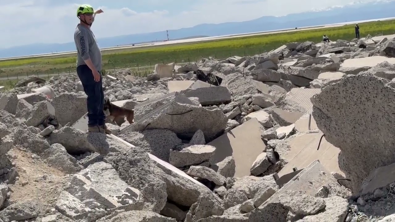 CO-TF1 Open Training Rex