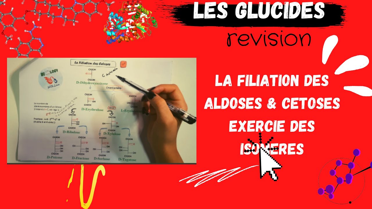 🔥 Révision la filiation des Aldoses & Cétoses, isomères avec des exemples et exercice #BIOCHIMIE