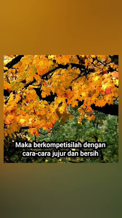 Hukum TUHAN #afirmasi #katamutiara #quotes  #renungan #motivasi #petuah #nasehat #katabijak