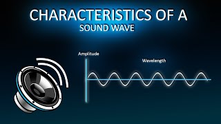Characteristics of sound wave || 3D animated video || class 9th || Physics || Sound || screenshot 5
