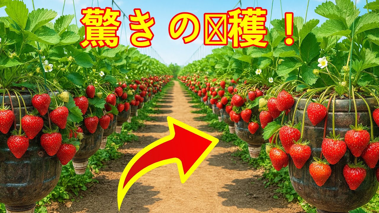 エコ家庭菜園｜5Lボトルで作る吊り下げいちごガーデンのアイデア