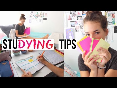 Studying Tips for This School Year! | Reese Regan