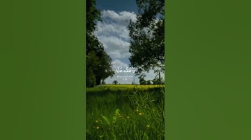 تلاوة هادئة تريح الأعصاب 😴🎧 القارئ: سالم الرويلى سورة: البقره 💙❤