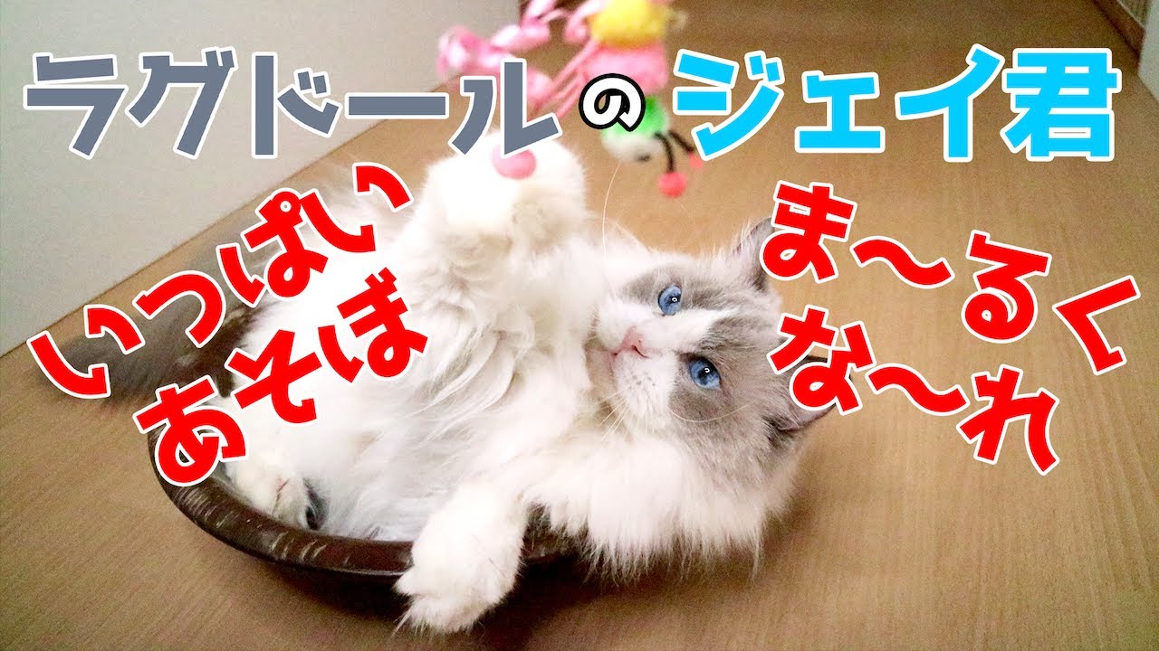 YouTubeに動画をアップしました。