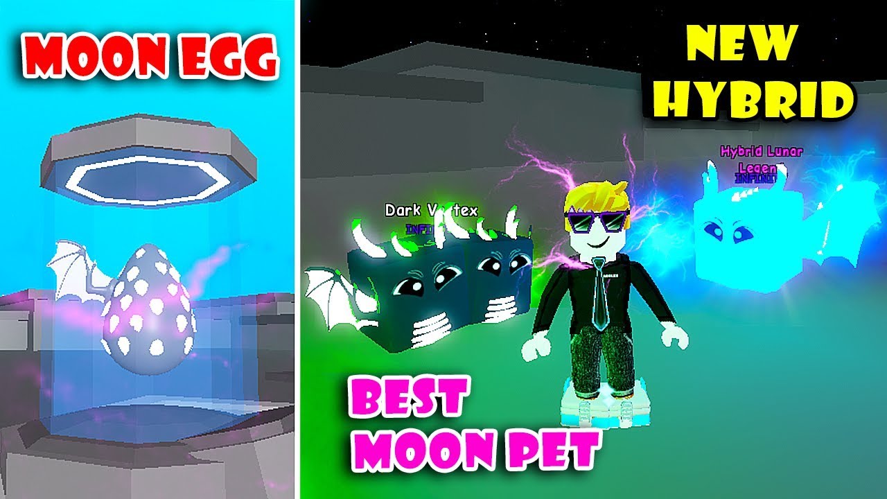 New Moon Update 2 Eggs New Trails Codes Best Moon Hybrid Pets In Speed Champion Roblox Youtube - guest noob hybrid original roblox