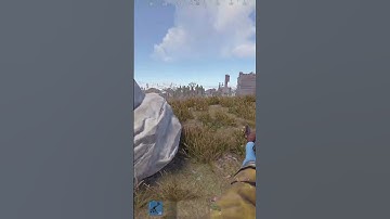 Racism and Rust the unstoppable duo #rust #funny #gaming