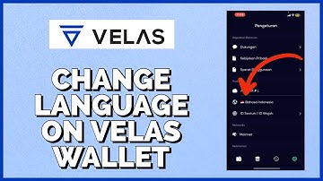 How to Change Language on Velas Wallet App 2023?