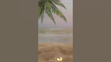 سورة التكاثر رقم 102 - القارئ الشيخ ياسر الدوسري - Quran in English