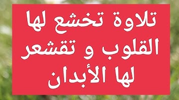 الشيخ حسن صالح تلاوة خاشعة، ويلٌ لكل افاك اثيم  آيات من سورة الجاثية