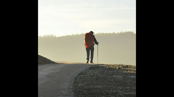 The Alchemist Book Summary | Unlocking Santiago’s Journey to Destiny