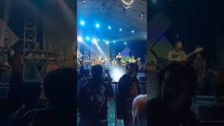 Camelia newmonata newmonata sodiqmonata