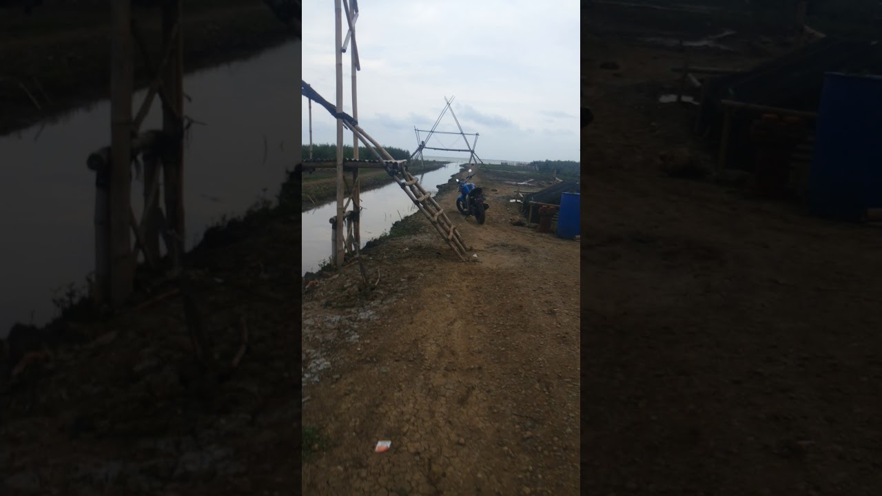 Jalan Ke Pantai Kertomulyo Trangkil Pati