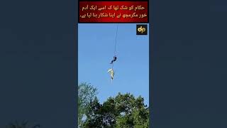 آخر اس بڑے مگرمچھ کو ہیلی کاپٹر سے لٹکا کر کیوں لے جایا جا رہا ہے؟