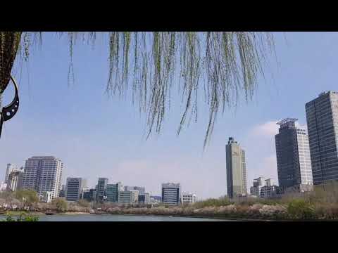 모아듣는 봄캐럴 / 석촌호수