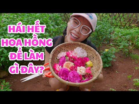 CHỊ ĐÃ LÀM NƯỚC HOA HỒNG BẰNG CÁCH NÀY ĐÂY