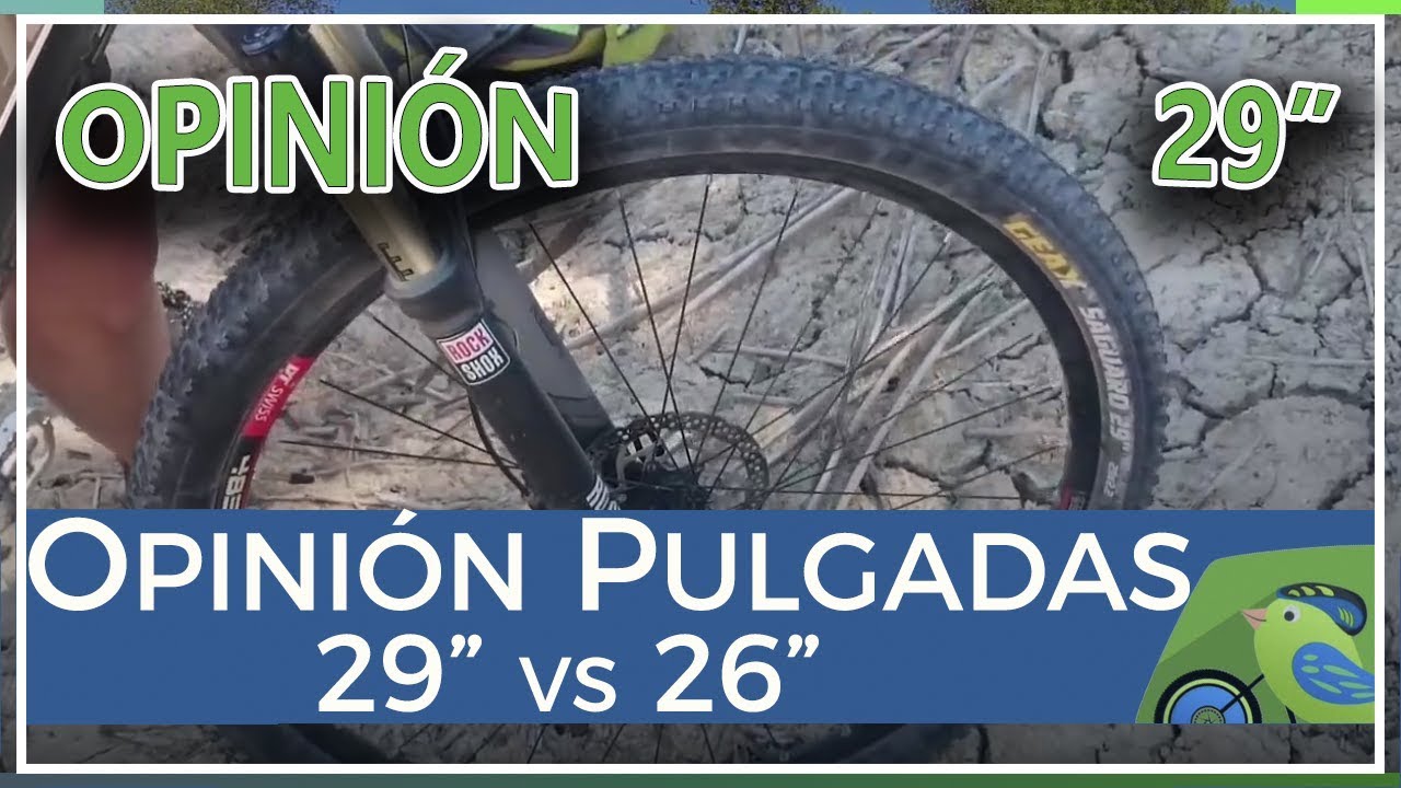 bicicletta 26 vs 29