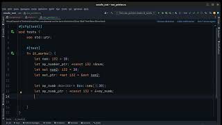 Primitive Type pointer (raw pointer in rust)