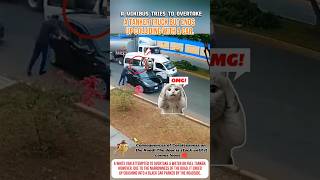 A reckless stunt ends in disaster!👀 #shortvideos #accident