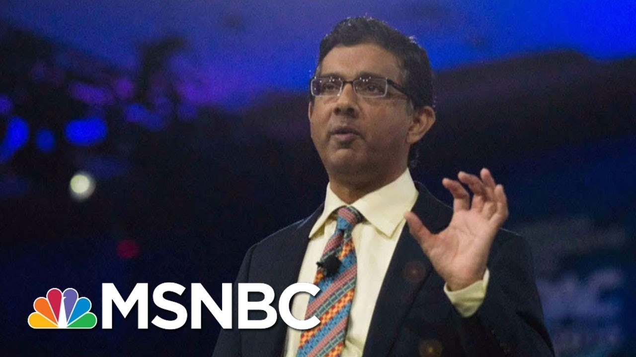 Dinesh D'Souza, Pardoned by Trump, Claims Victory Over Obama Administration