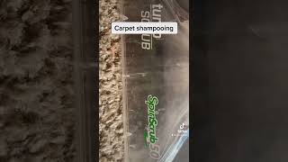 Carpet shampooing