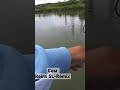 Сом на силикон. Рыбалка на спиннинг #fishing #рыбалка #силиконовыеприманки