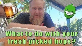 What to do with your fresh picked home grown hops?
