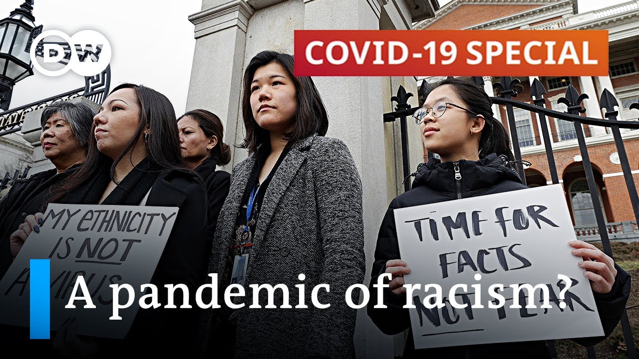 cbd gummy shark tank