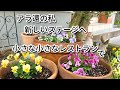 アラ還おかん 病に倒れておりました 今後のチャンネル運営についてのお知らせ