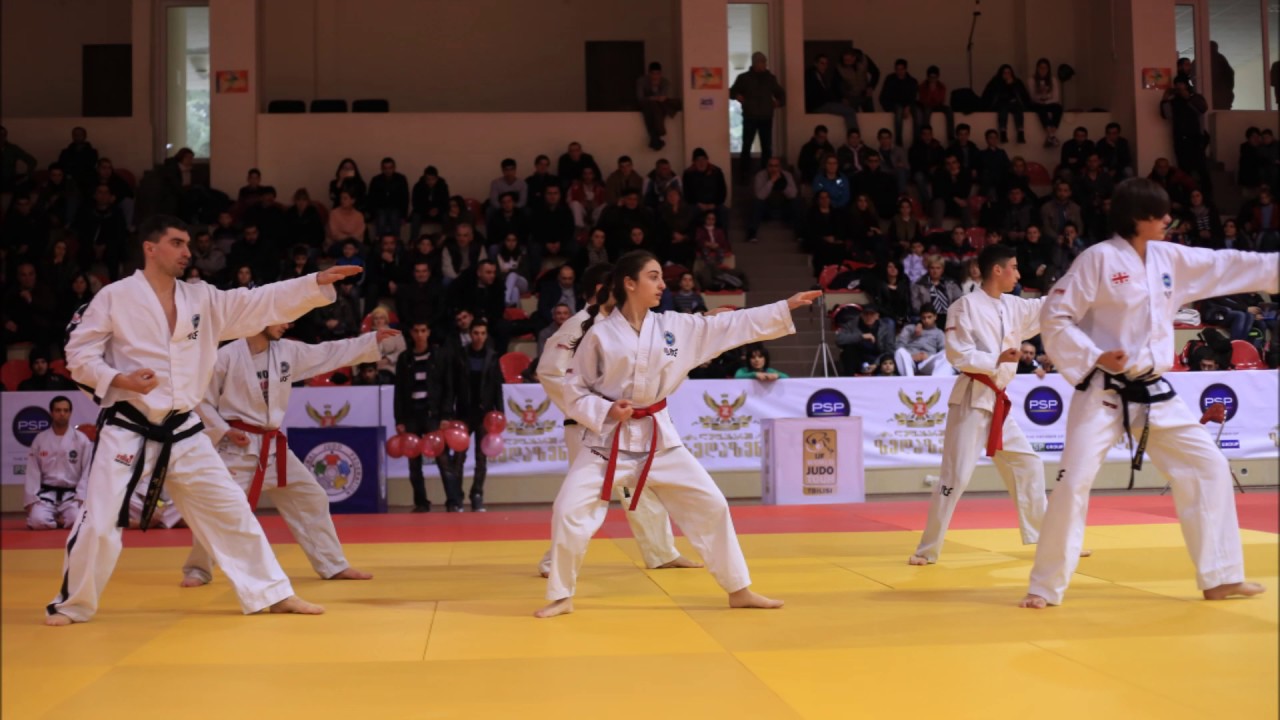 Martial Arts Festival 2016. Tbilisi YouTube