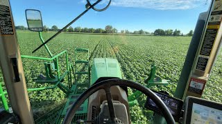 Spraying Beans - #730
