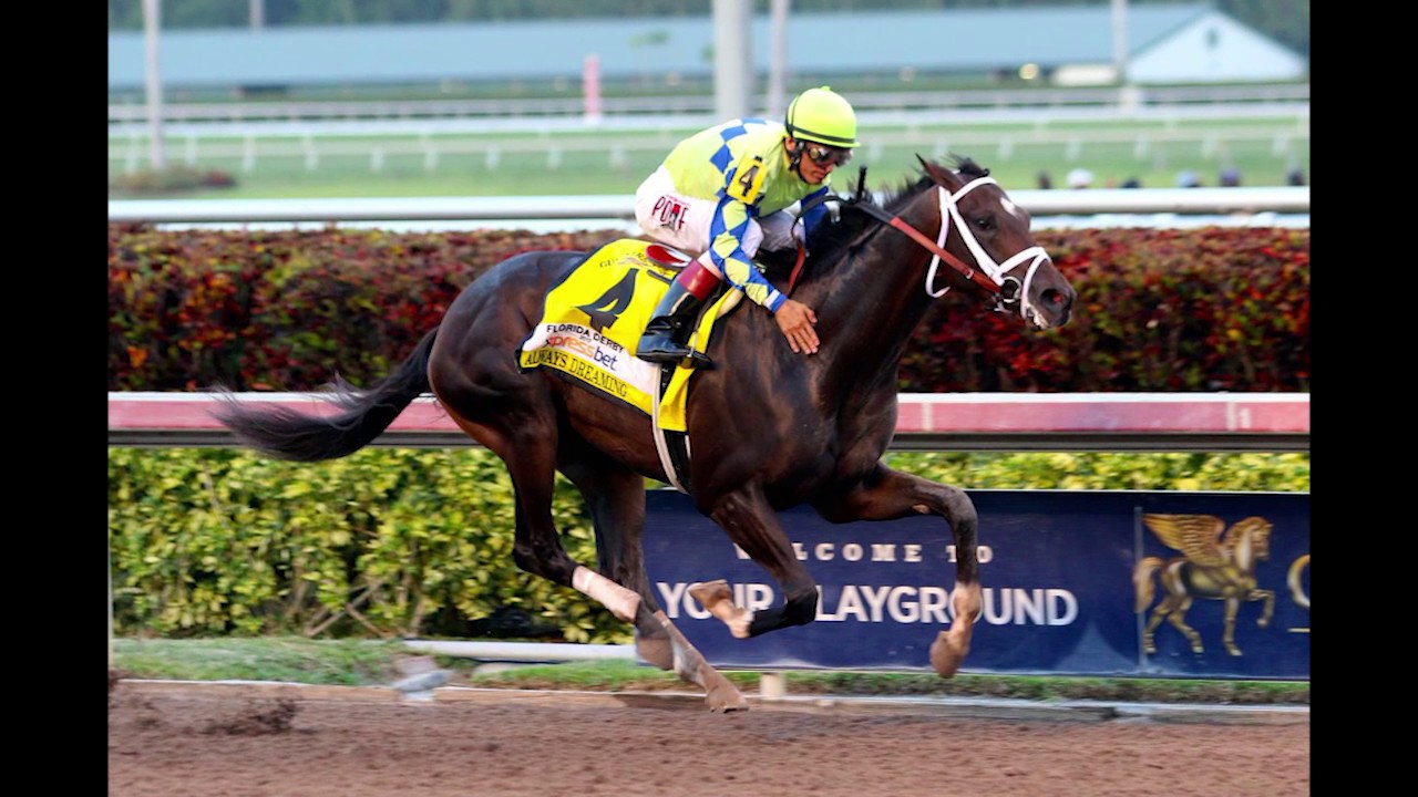 Preakness 2017 Contenders: Horses, Jockeys with Best Shot at Pimlico Race Course