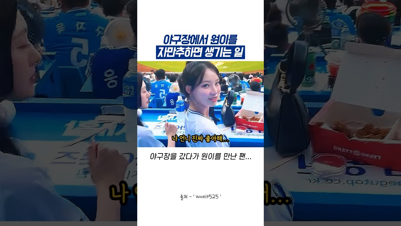 야구장에서 원이를 자만추하면 생기는 일