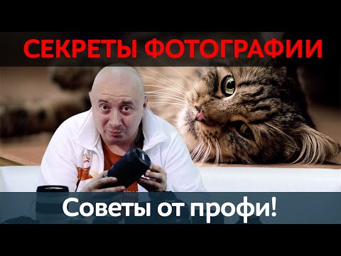 Секреты профессиональной фотографии!
