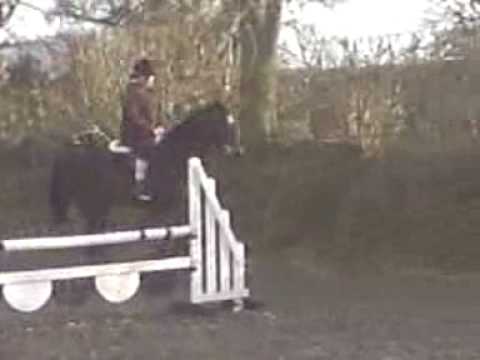 Basil ridden at home for the first time after bein...