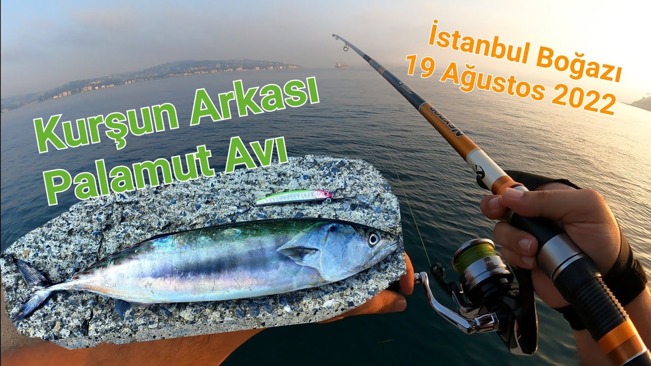 İSTANBUL BOĞAZI'NDA PALAMUT ZAMANI - Kurşun Arkası Teknik ile Palamut Avı - Ağustos 2022