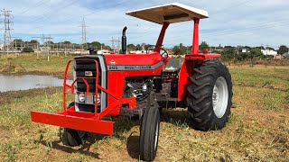 MASSEY FERGUSON 265 EXTRA A VENDA!!! DIREÇÃO HIDROSTÁTICA,COMANDO DUPLO,DIFERENCIADO DE TODOS MF 265
