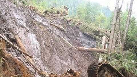 Incident Investigation: Worker Survives Excavator Rollover | WorkSafeBC