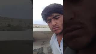 Cloudy Weather In My Village Fields #villagelife #pakistan #shorts